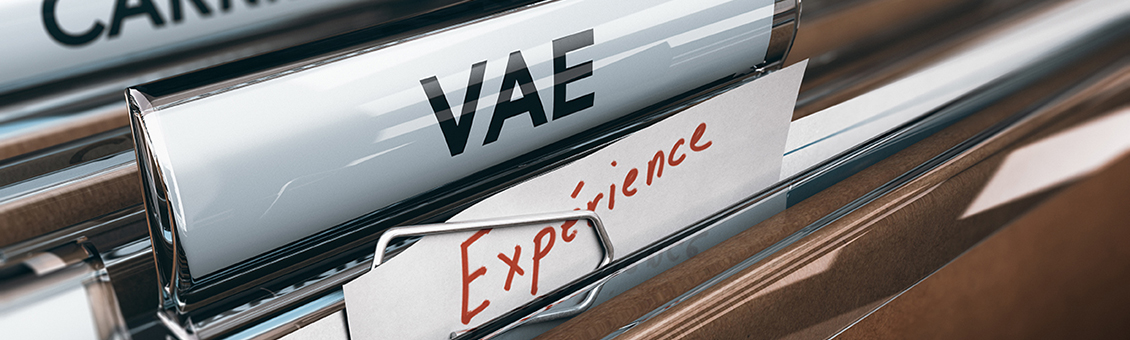 VAE collective